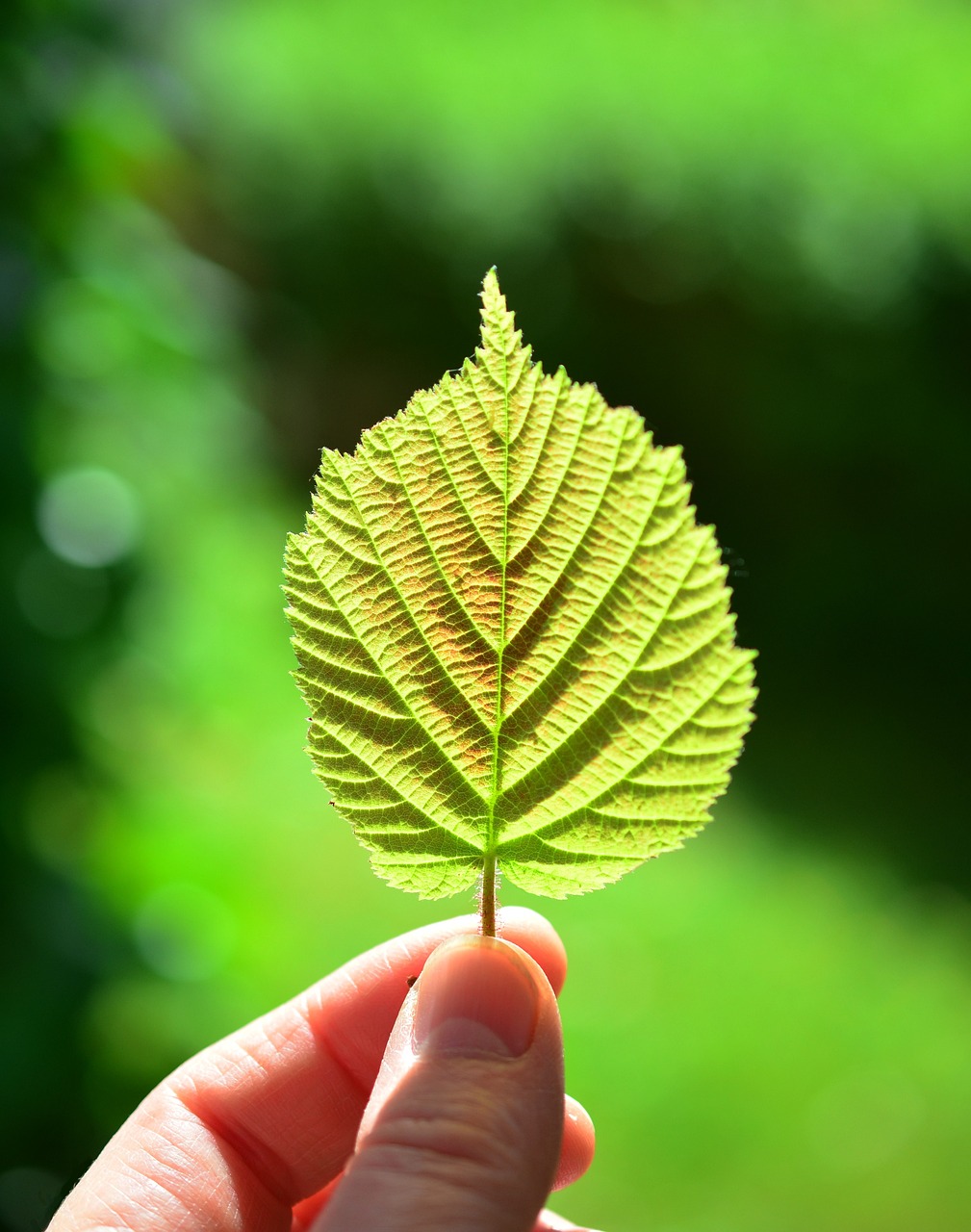 découvrez notre guide complet sur les frameworks : définition, types, avantages et comment choisir le bon pour vos projets de développement. optimisez votre productivité et simplifiez votre code grâce à des outils adaptés à vos besoins.